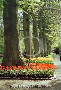 keukenhof park
